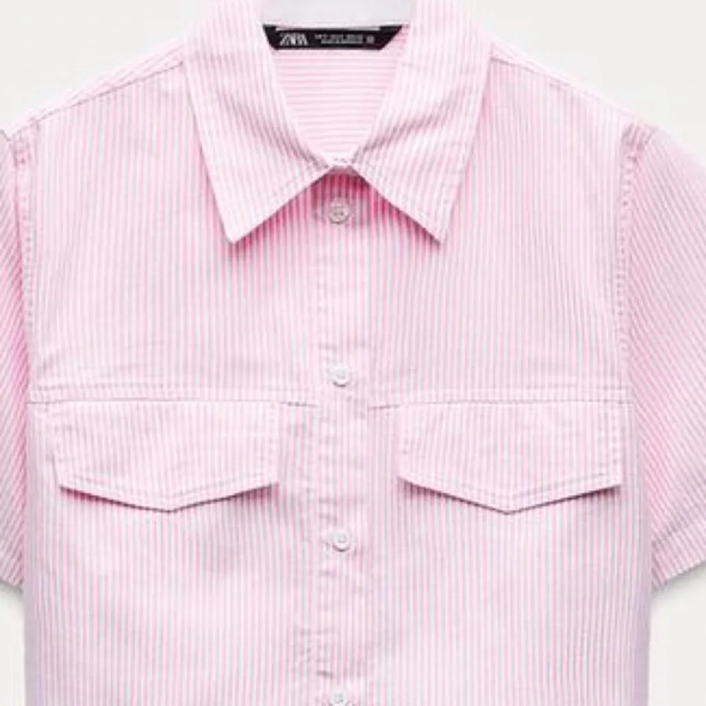 Zara Pink Striped Button Down Shirt - Picture 6 of 10